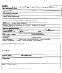 Pseudosamanea guachapele