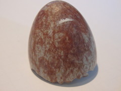 Gymnorhina tibicen