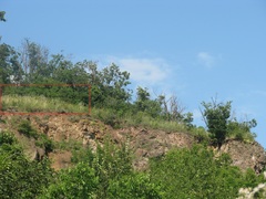 Stipa transcarpatica
