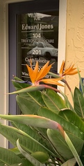 Strelitzia reginae
