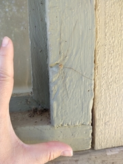 Leptobunus parvulus