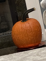 Cucurbita maxima maxima