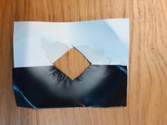 Melanoleuca exscissa