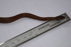 Thamnosophis infrasignatus