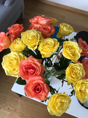Rosa