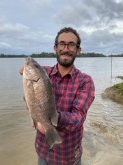 Lutjanus endecacanthus