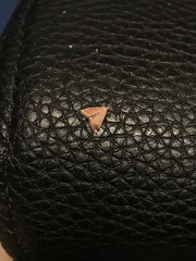 Microtheoris ophionalis