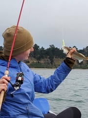 Genyonemus lineatus