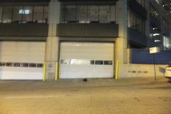 Coturnicops noveboracensis