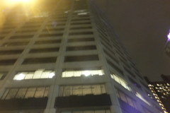 Coturnicops noveboracensis