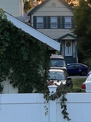 Cardinalis cardinalis