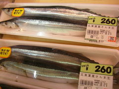Pacific Saury photo 3