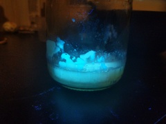 Pseudomonas