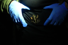 Eupsophus emiliopugini