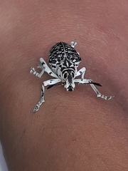 Cydianerus latruncularius