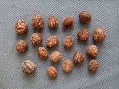 Sacoglottis gabonensis