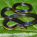 Two-lined Black Earth Snake - Photo (c) Surya Narayanan, some rights reserved (CC BY-NC), uploaded by Surya Narayanan