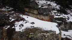 Xanthoparmelia taractica