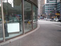 Zonotrichia albicollis