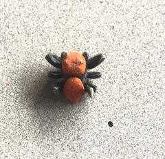 Phidippus apacheanus
