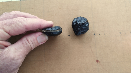 Mucuna bennettii