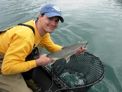 Salvelinus malma