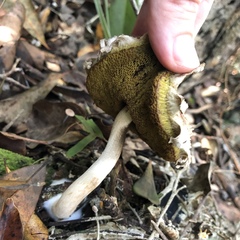 Image Associated With the Occurrence