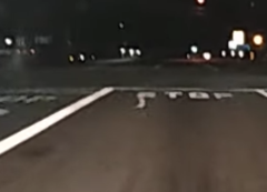 Phalaenoptilus nuttallii