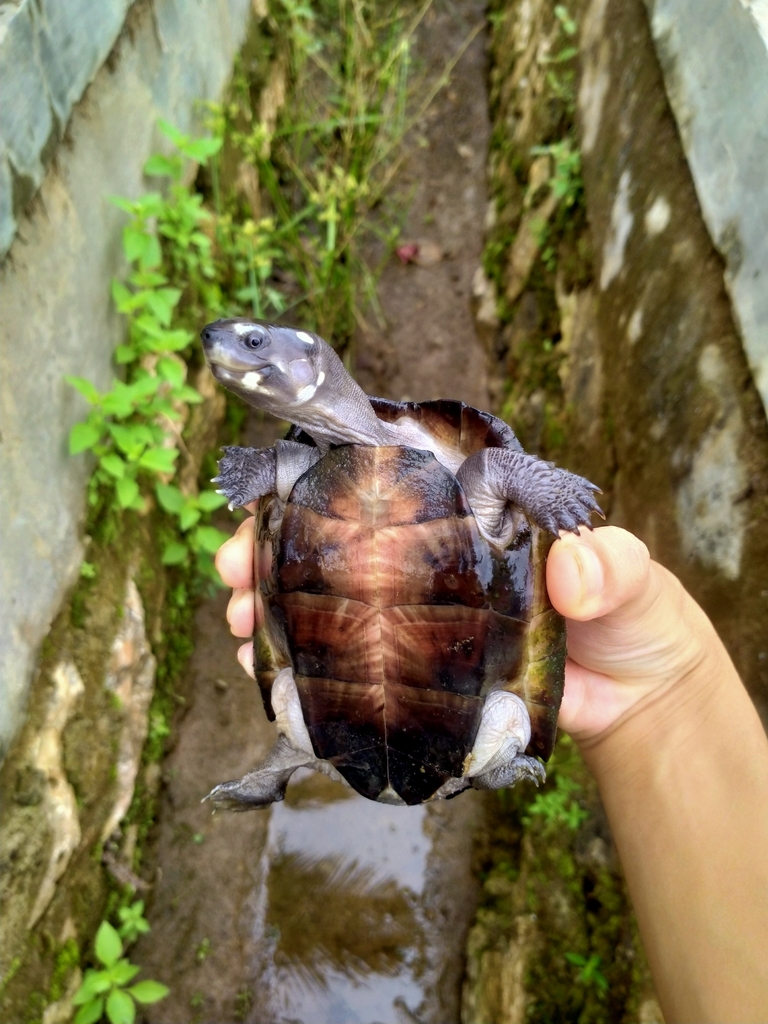 Photo by Zainudin Basriansyah Akar