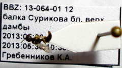 Diodontus minutus
