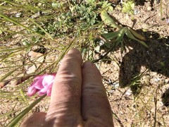 Tritonia squalida