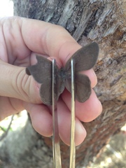 Nhambikuara cerradensis