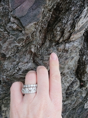 Erechthias fulguritella