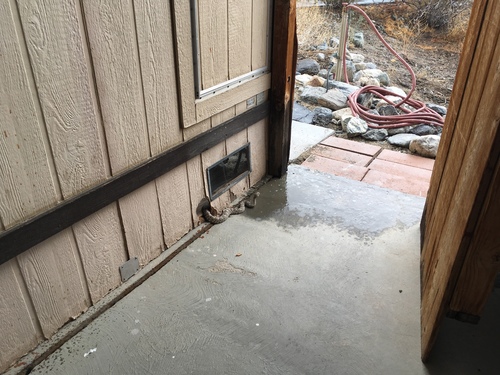 iNaturalist observation photo of Southwestern Speckled Rattlesnake