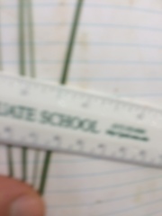 Piptatheropsis pungens