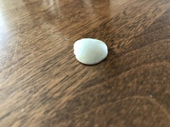 Tucetona