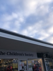 Motacilla alba yarrellii