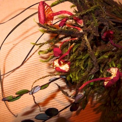 Hygrocybe substrangulata