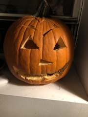 Cucurbita maxima maxima