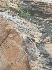 Platysaurus attenboroughi