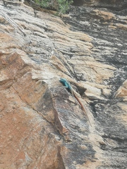 Platysaurus attenboroughi