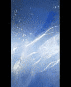 Bolinopsis microptera