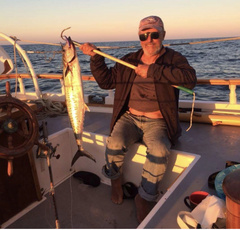 Scomberomorus cavalla