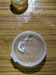 Megaustenia siamensis