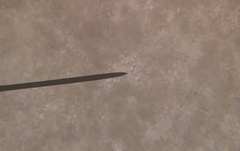 Saccharomyces cerevisiae