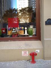 Zonotrichia albicollis