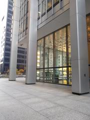 Zonotrichia albicollis