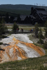 Archaea