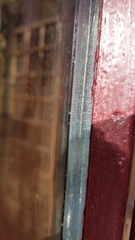 Tromatobia lineatoria