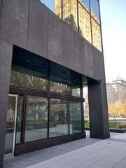 Poecile atricapillus